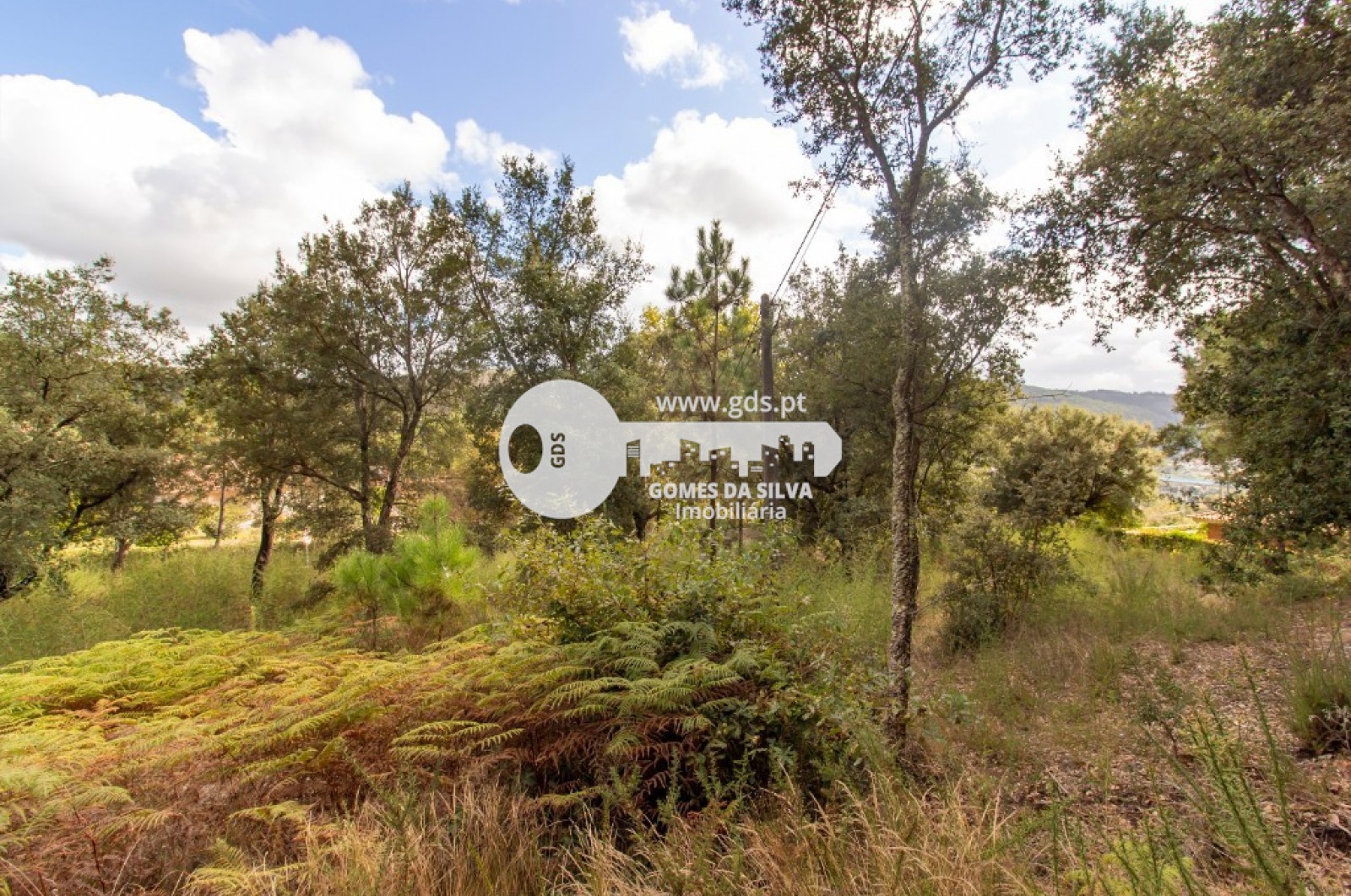 Terreno para Venda em Morreira e Trandeiras, Braga, Braga - Imagem 9