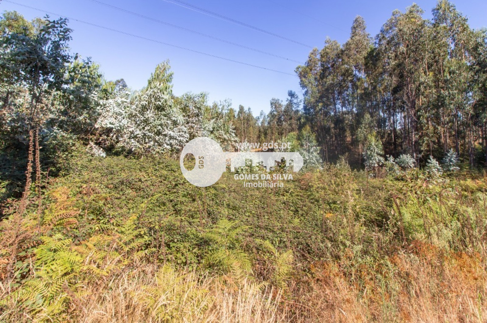 Terreno para Venda em Melres e Medas, Gondomar, Porto - Imagem 9