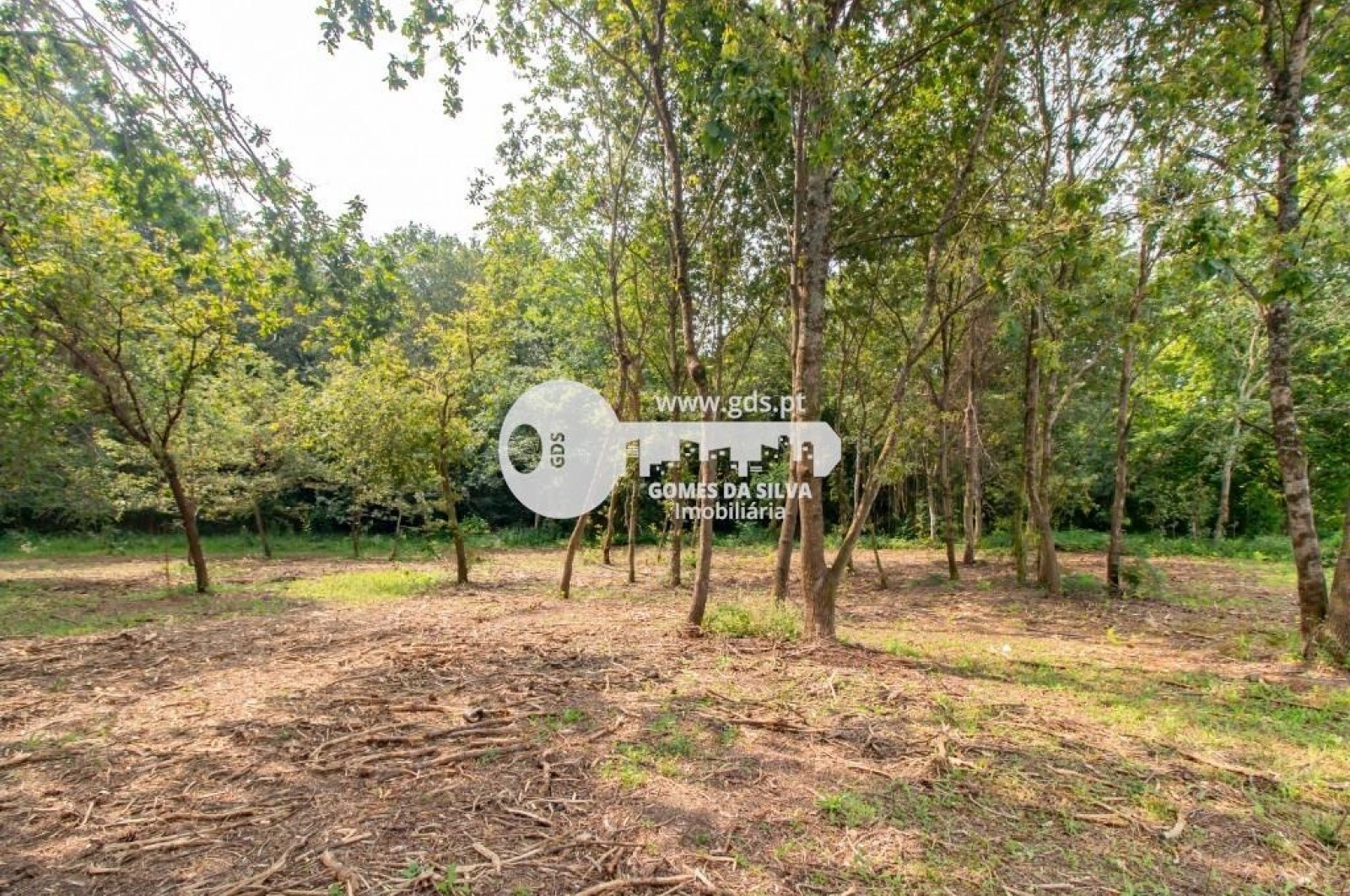 Terreno para Venda em Celeirós, Aveleda e Vimieiro, Braga, Braga - Imagem 9