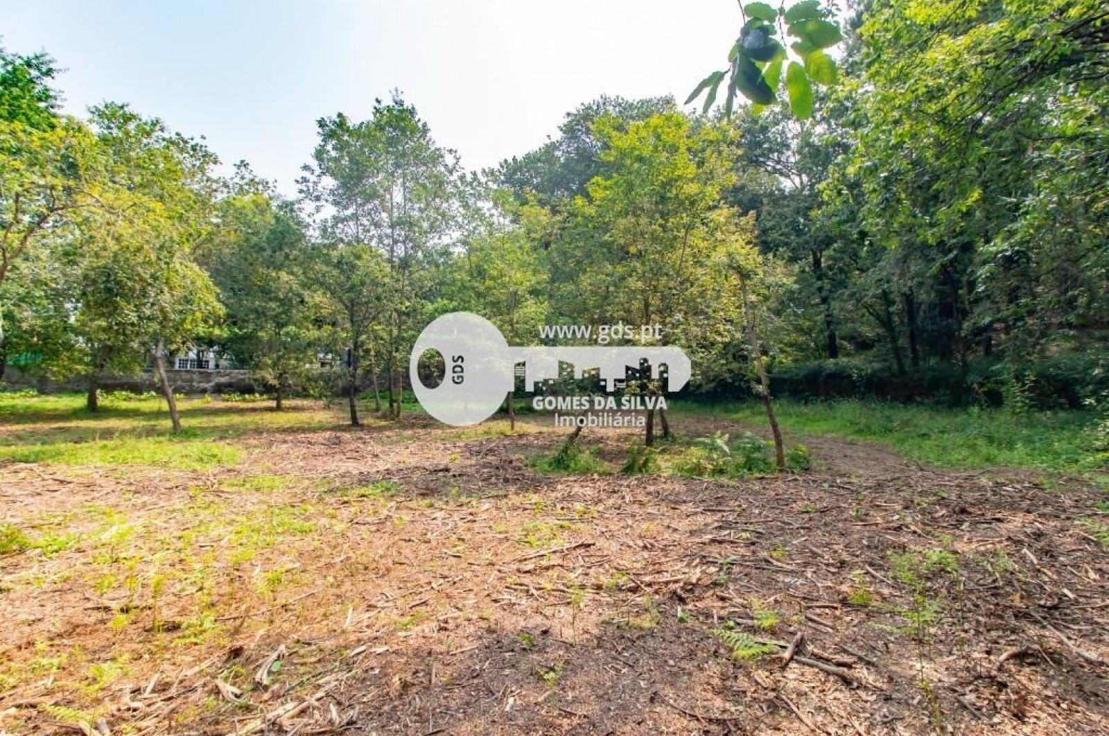 Terreno para Venda em Celeirós, Aveleda e Vimieiro, Braga, Braga - Imagem 2