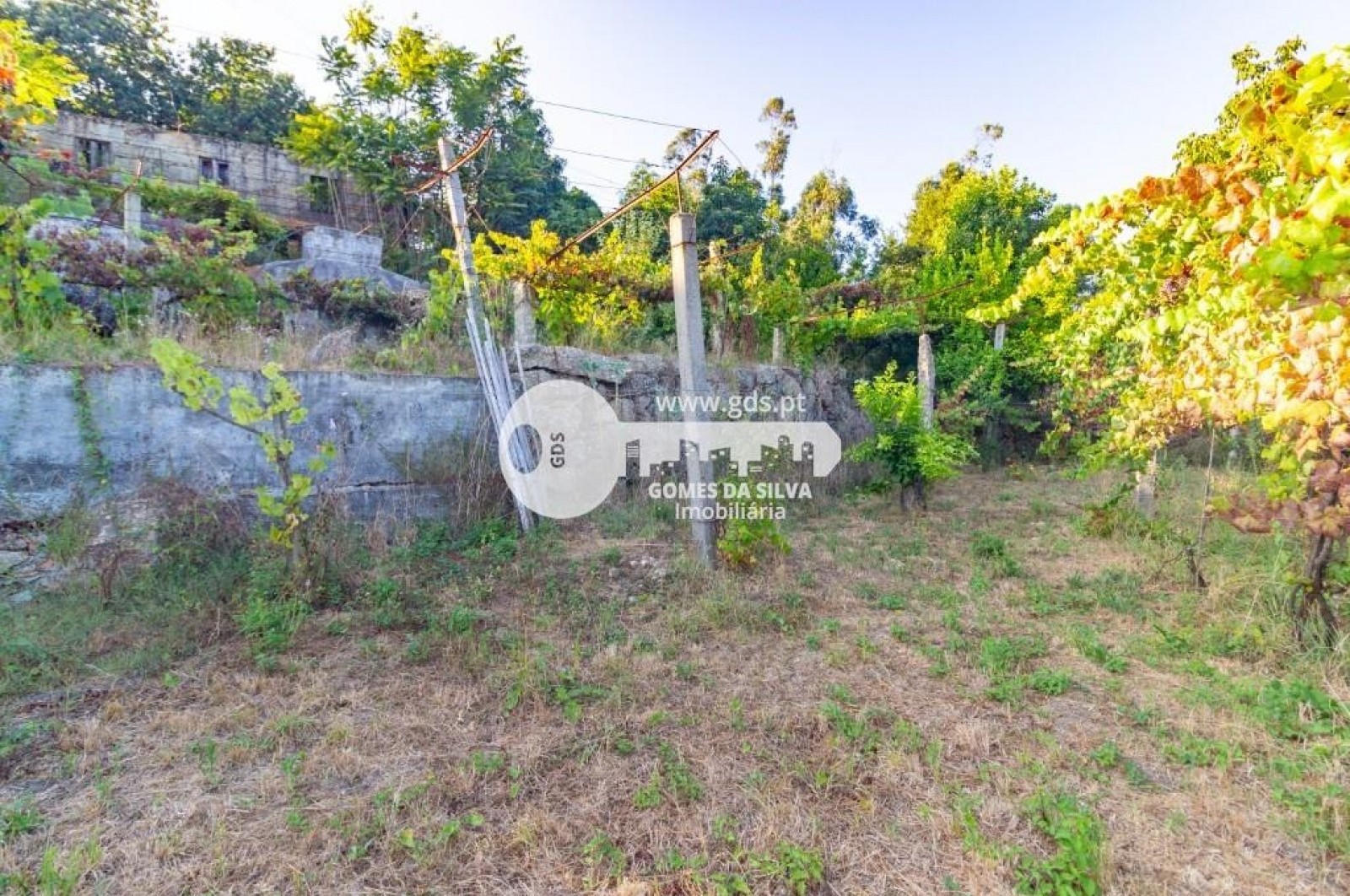 Moradia T4 para Venda em Santa Maria Oliveira, Vila Nova de Famalicão, Braga - Imagem 19
