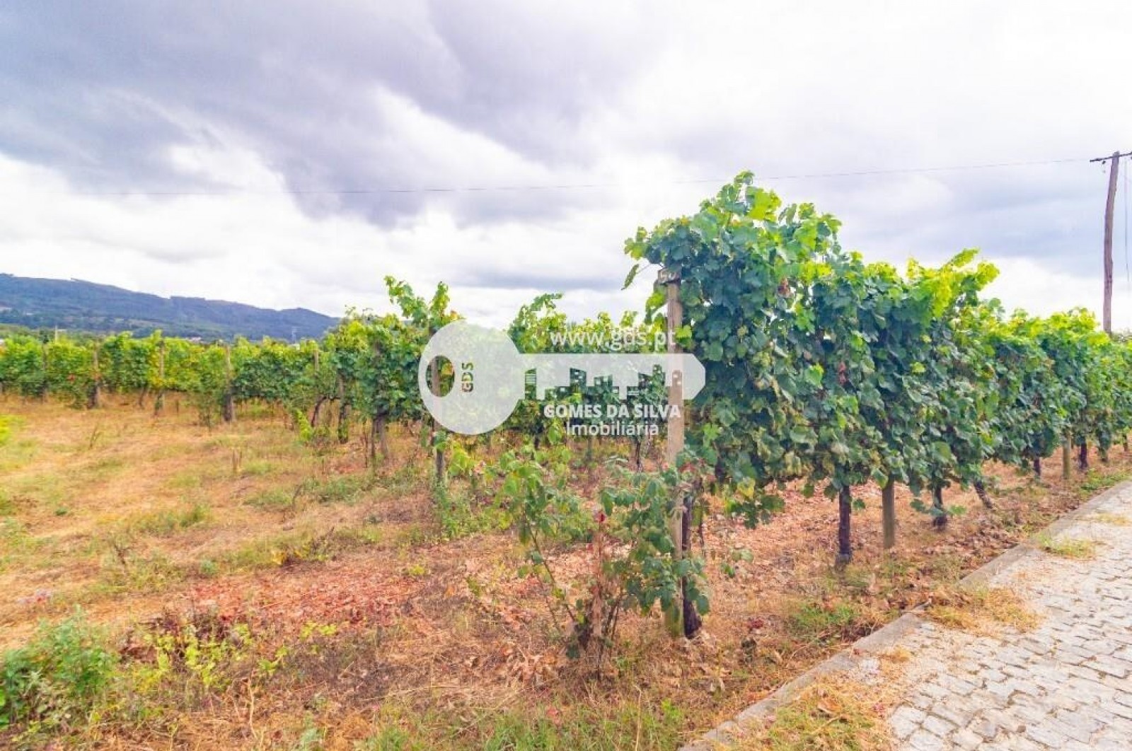 Moradia T5+ para Venda em Crespos e Pousada, Braga, Braga - Imagem 49
