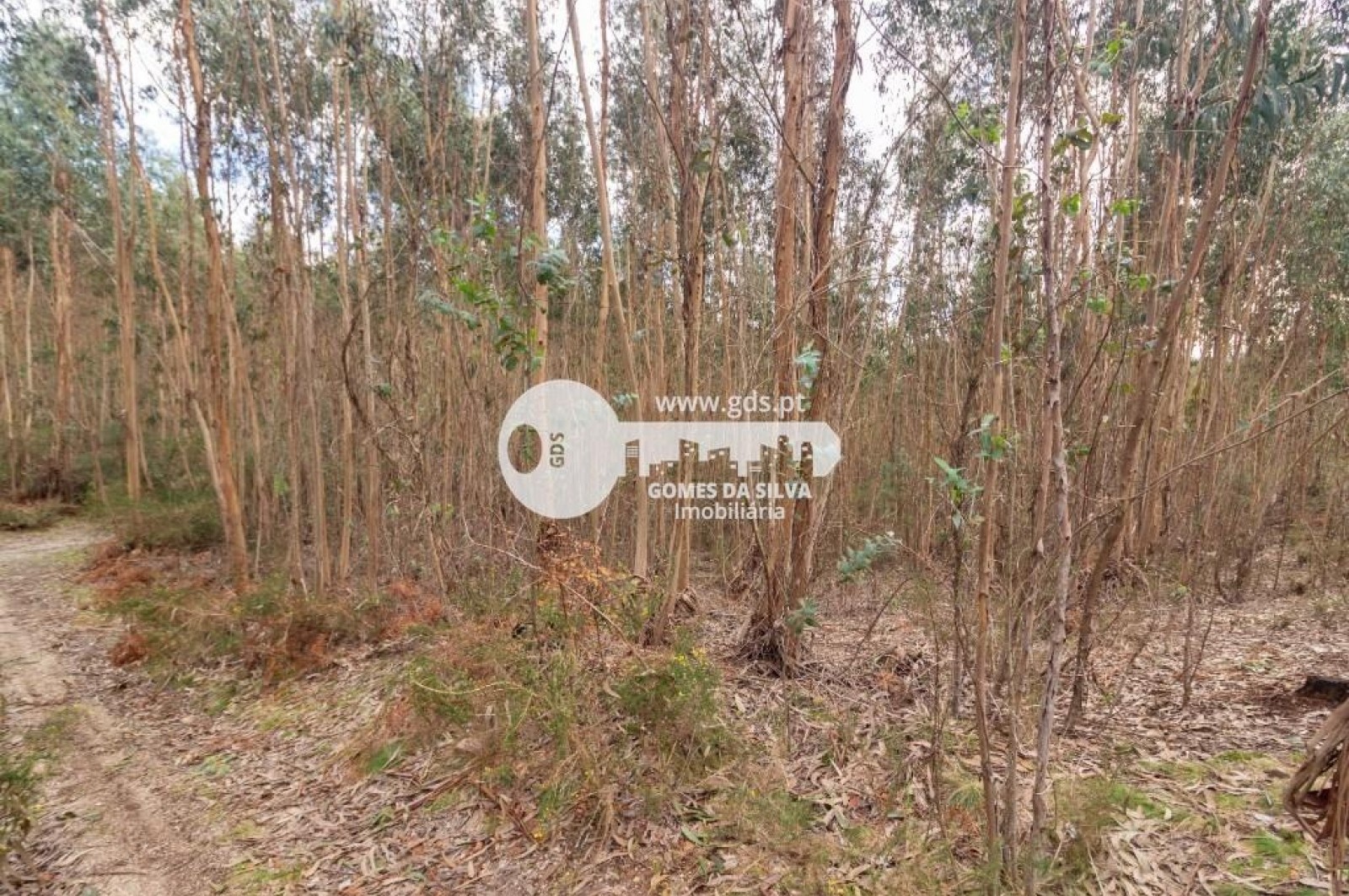 Terreno para Venda em Morreira e Trandeiras, Braga, Braga - Imagem 6