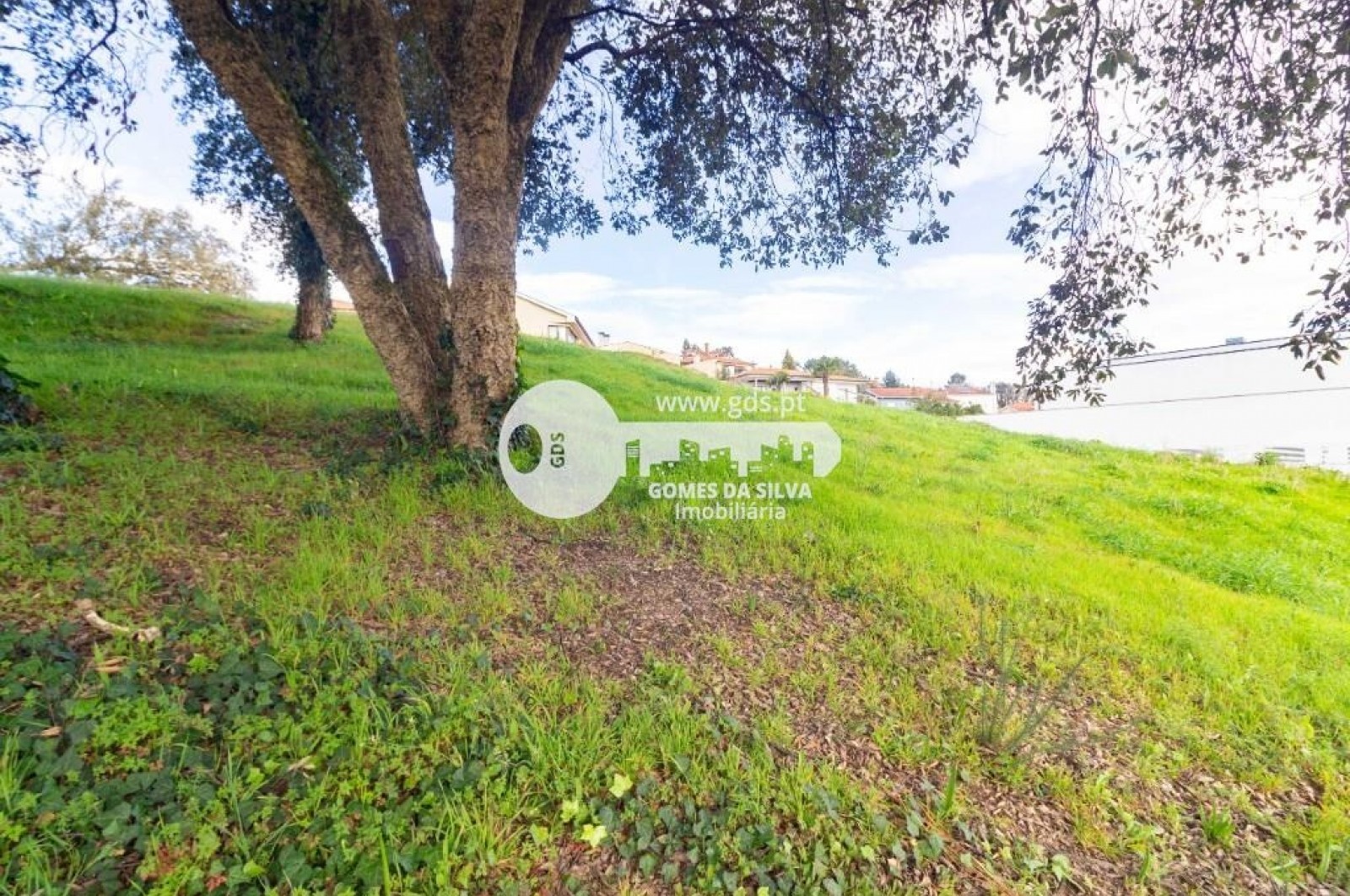 Terreno para Venda em Celeirós, Aveleda e Vimieiro, Braga, Braga - Imagem 5