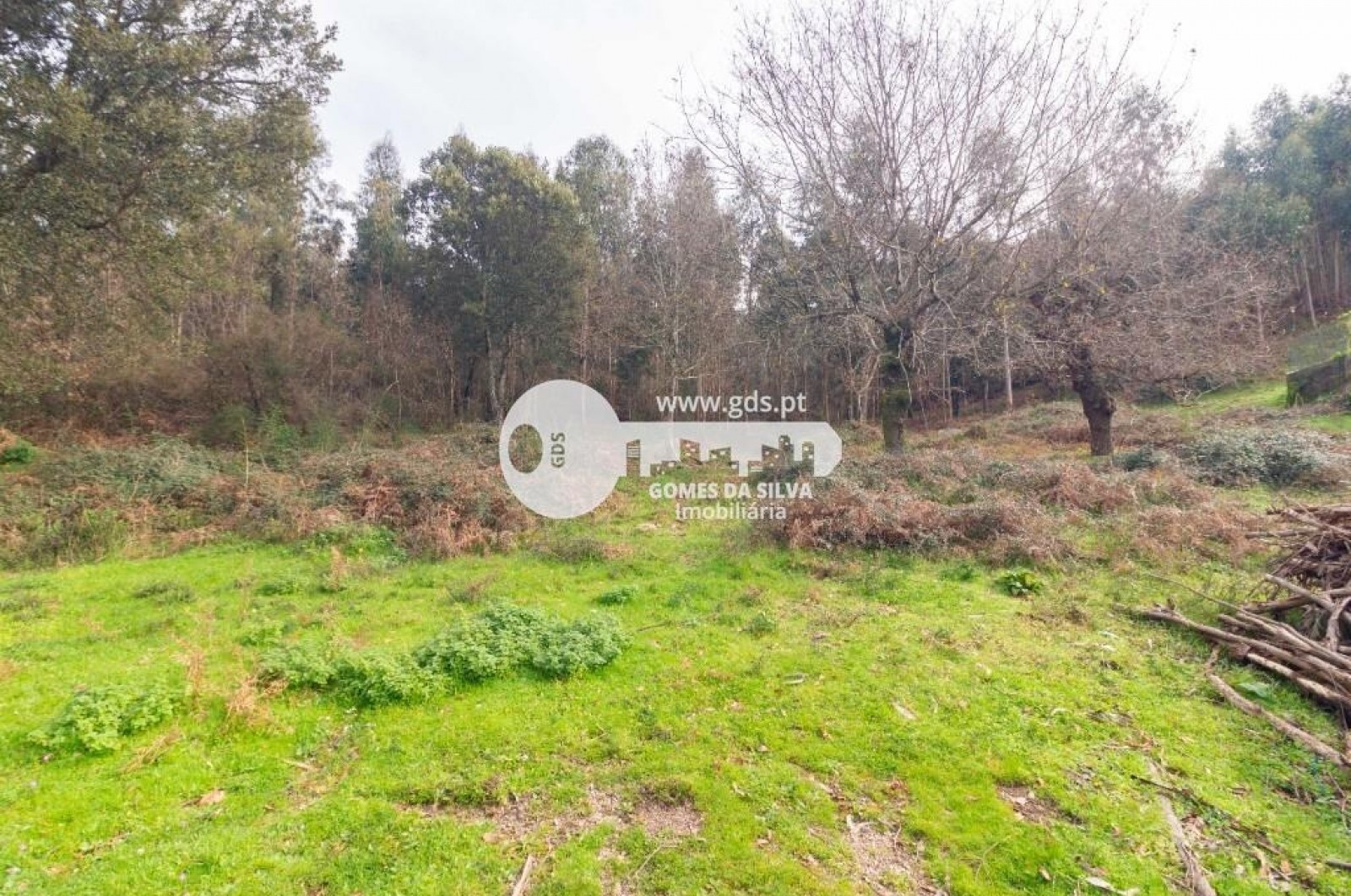 Terreno para Venda em Esporões, Braga, Braga - Imagem 8