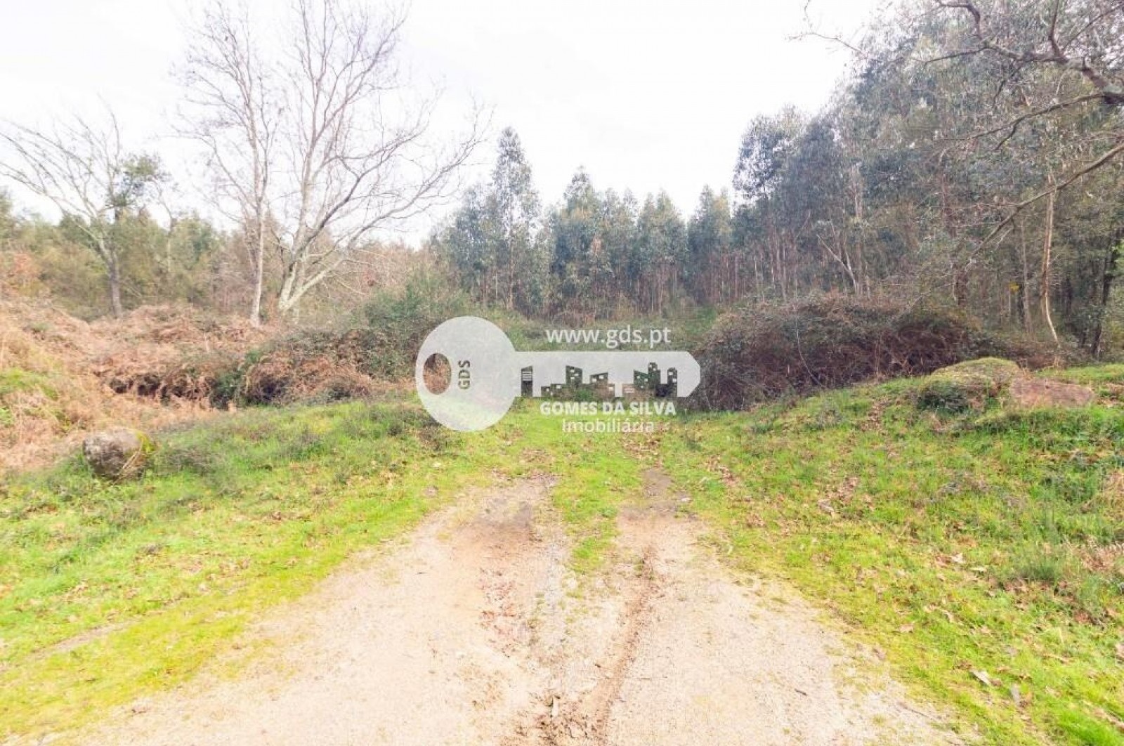 Terreno para Venda em Esporões, Braga, Braga - Imagem 6