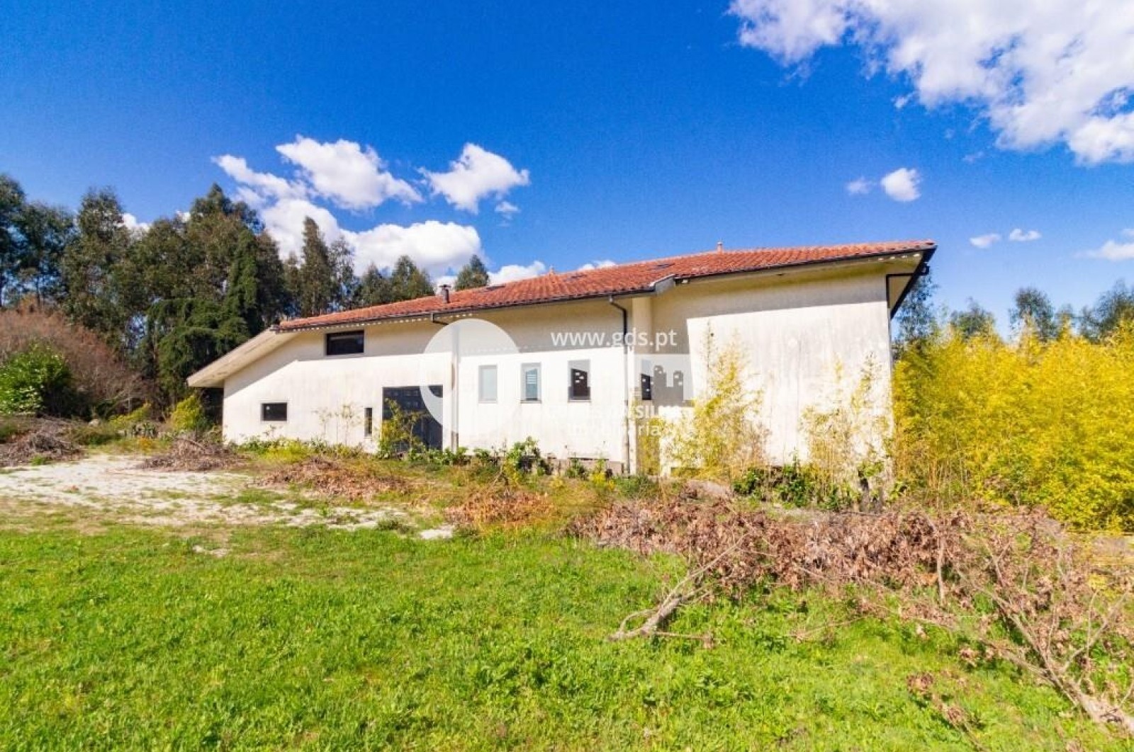 Moradia T4 para Venda em Ferreiros, Póvoa de Lanhoso, Braga - Imagem 50