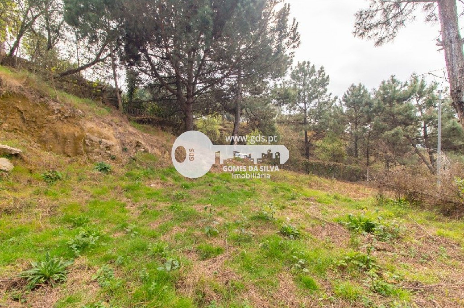 Terreno em Gualtar, Braga, Braga - Imagem 4