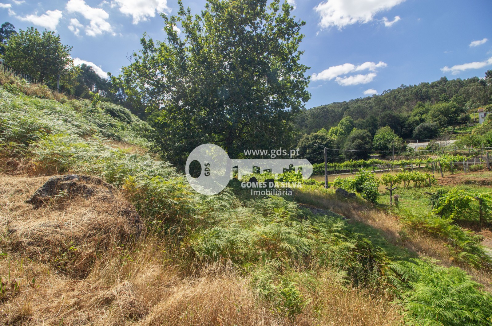 Moradia em Prozelo, Arcos de Valdevez, Viana do Castelo - Imagem 20