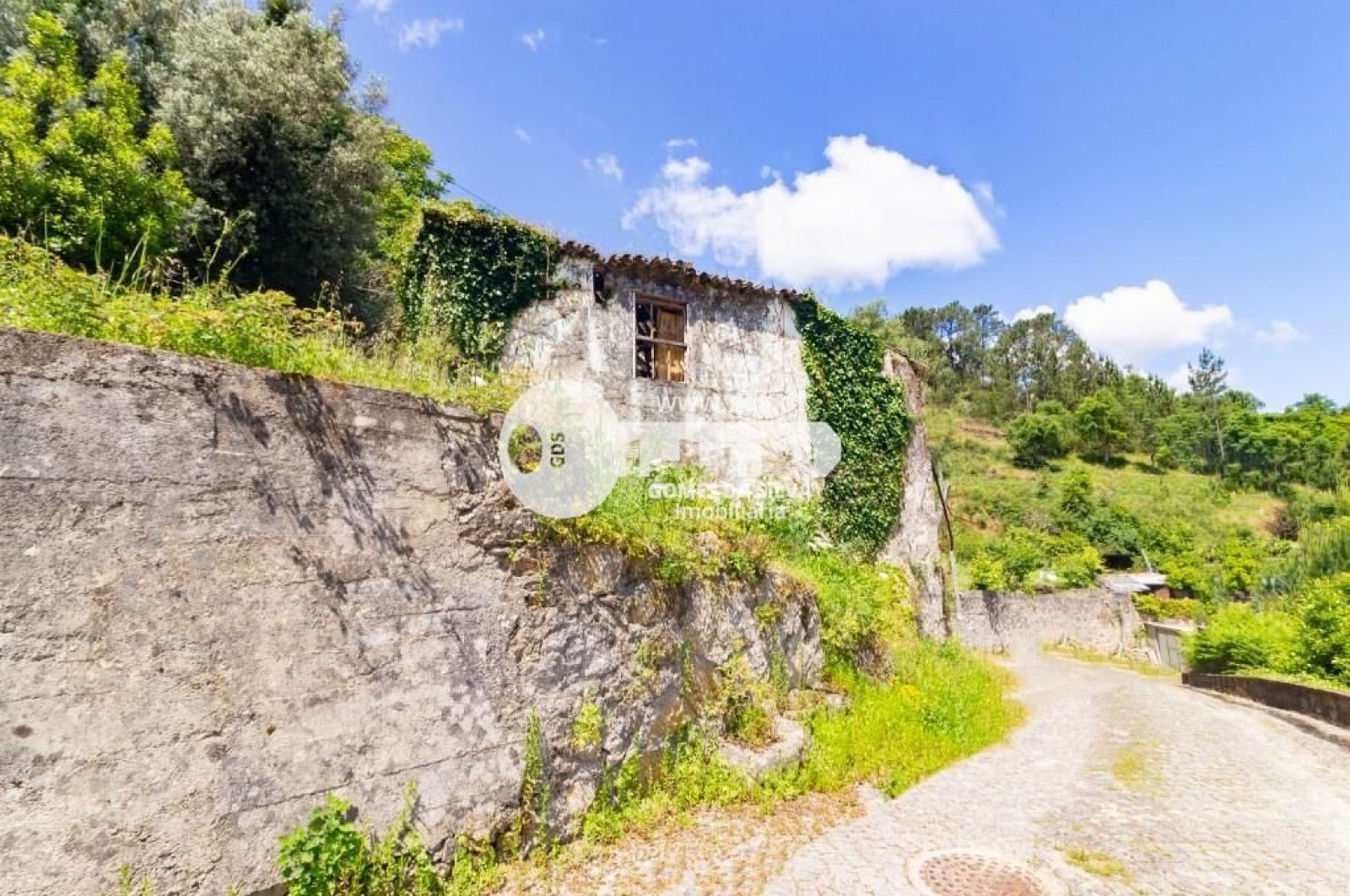 Moradia em Santa Lucrécia de Algeriz e Navarra, Braga, Braga - Imagem 4