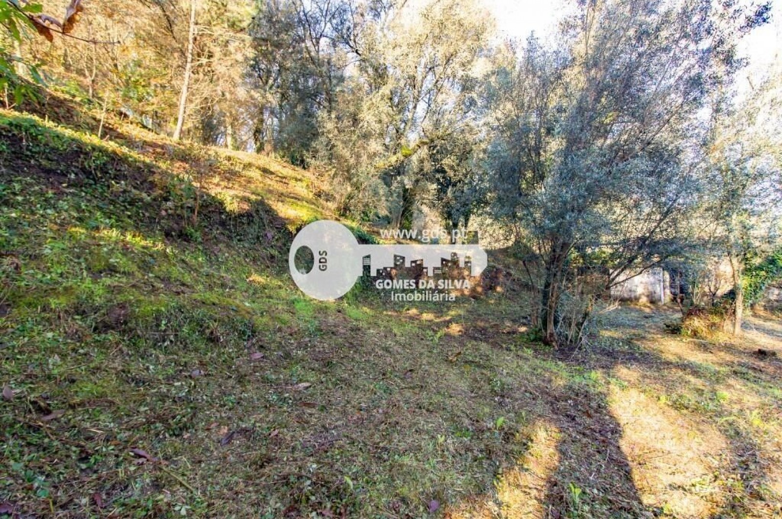 Duas moradias para recuperar com terreno de 1240m2 - Gomes da Silva - Imagem 9 Moradia em Santa Lucrécia de Algeriz e Navarra, Braga, Braga - Imagem 9