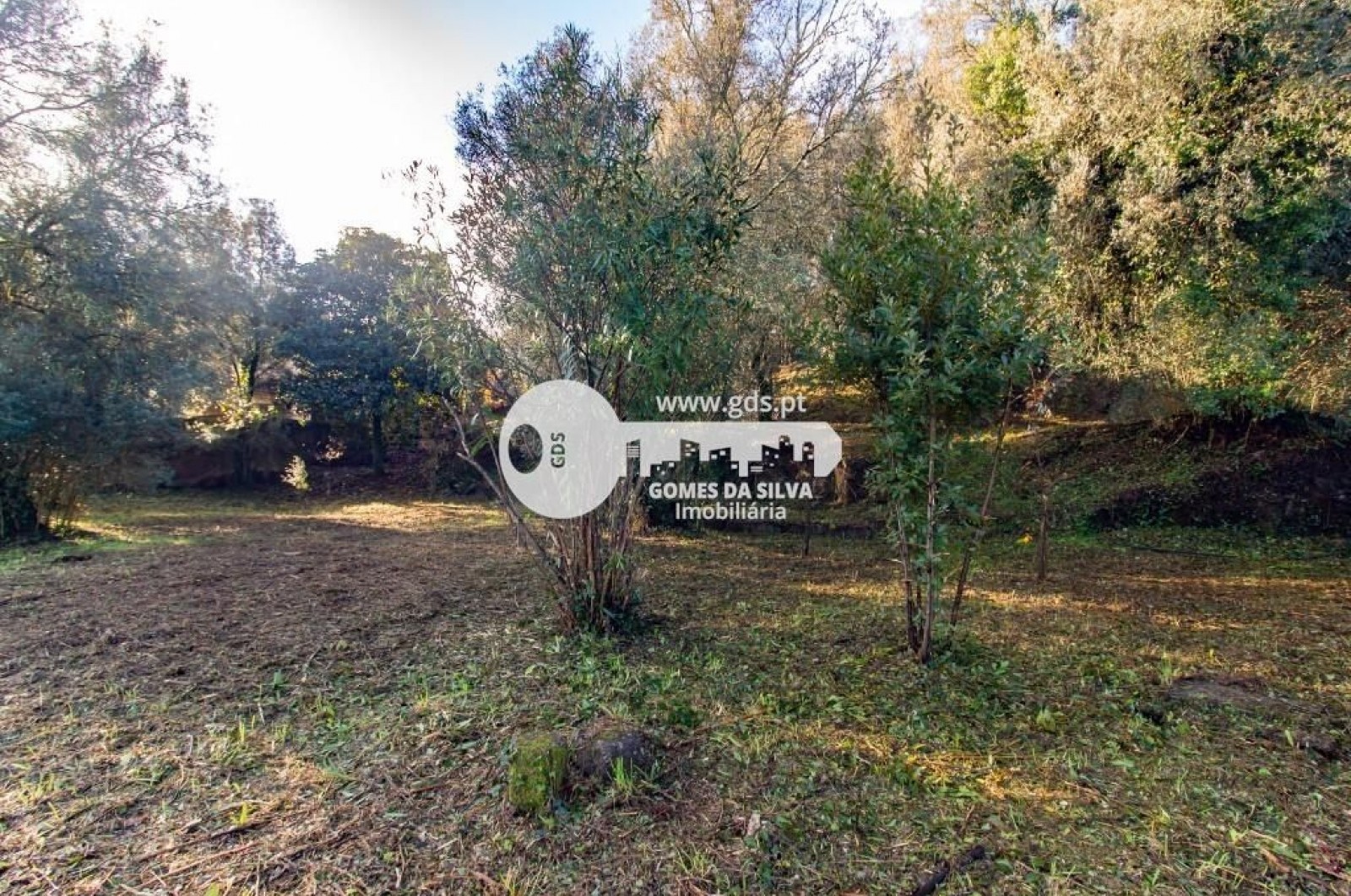 Duas moradias para recuperar com terreno de 1240m2 - Gomes da Silva - Imagem 14 Moradia em Santa Lucrécia de Algeriz e Navarra, Braga, Braga - Imagem 14