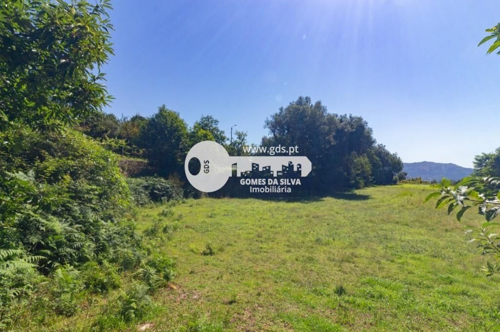 Quinta com 8000m2 de terreno em Pico de Regalados - Gomes da Silva - Imagem 28 Moradia em Pico de Regalados, Gondiães e Mós, Vila Verde, Braga - Imagem 28