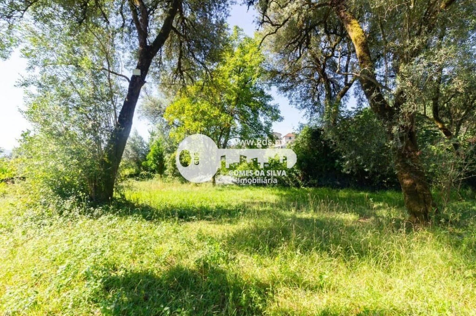 Quinta com 8000m2 de terreno em Pico de Regalados - Gomes da Silva - Imagem 14 Moradia em Pico de Regalados, Gondiães e Mós, Vila Verde, Braga - Imagem 14