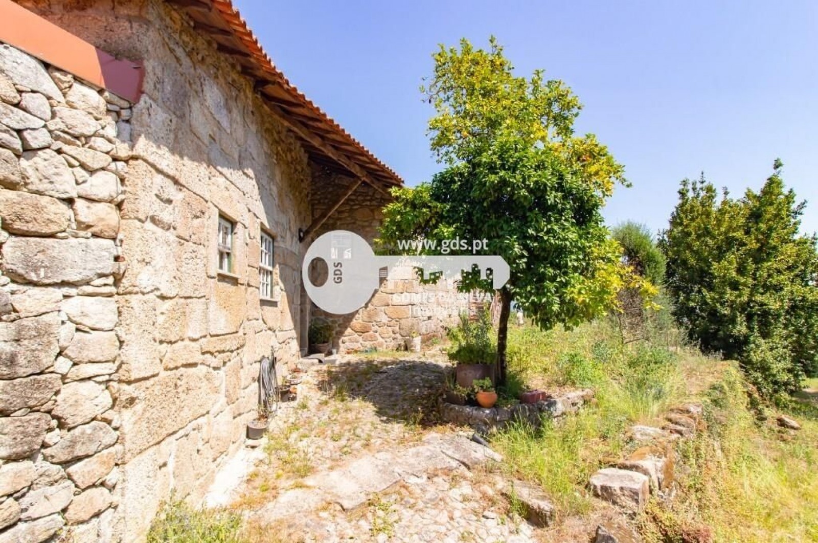 Quinta com 8000m2 de terreno em Pico de Regalados - Gomes da Silva - Imagem 11 Moradia em Pico de Regalados, Gondiães e Mós, Vila Verde, Braga - Imagem 11