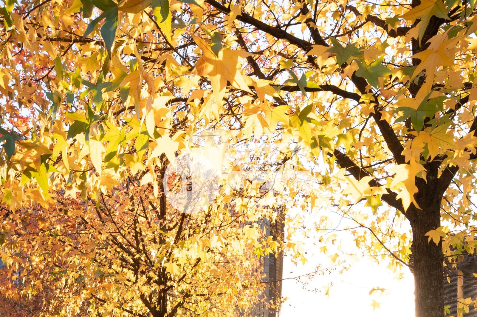 Loja em Braga (Maximinos, Sé e Cividade), Braga, Braga - Imagem 26