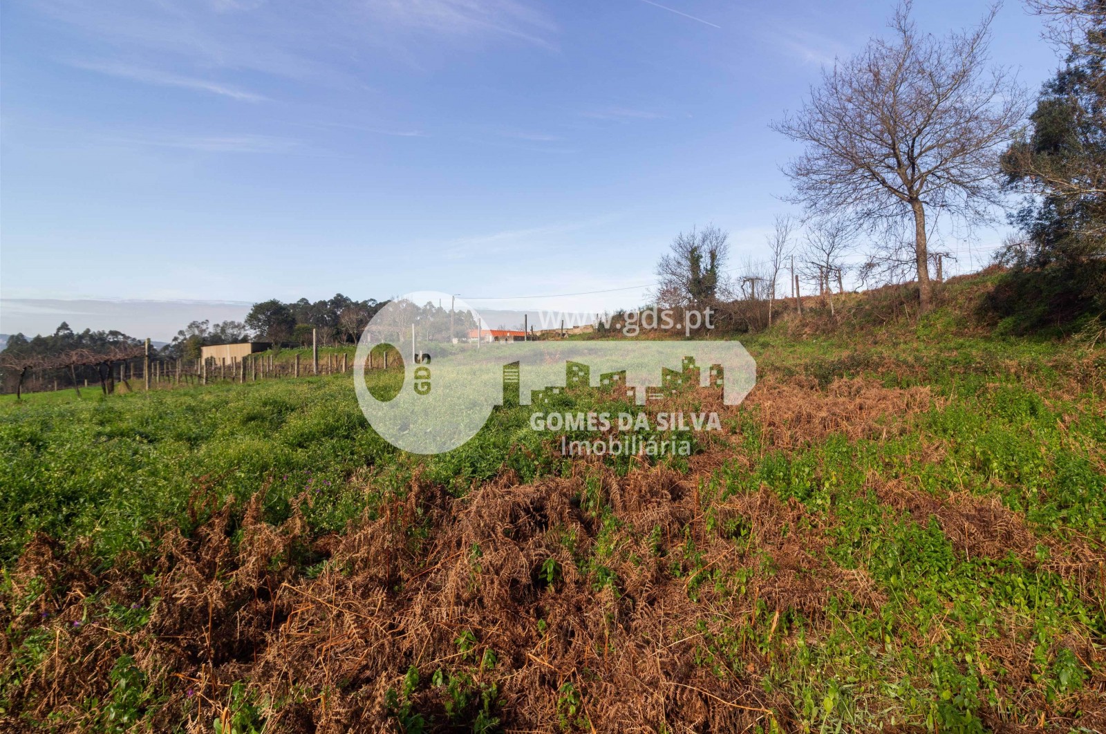 Terreno em Vale São Martinho, Vila Nova de Famalicão, Braga - Imagem 11