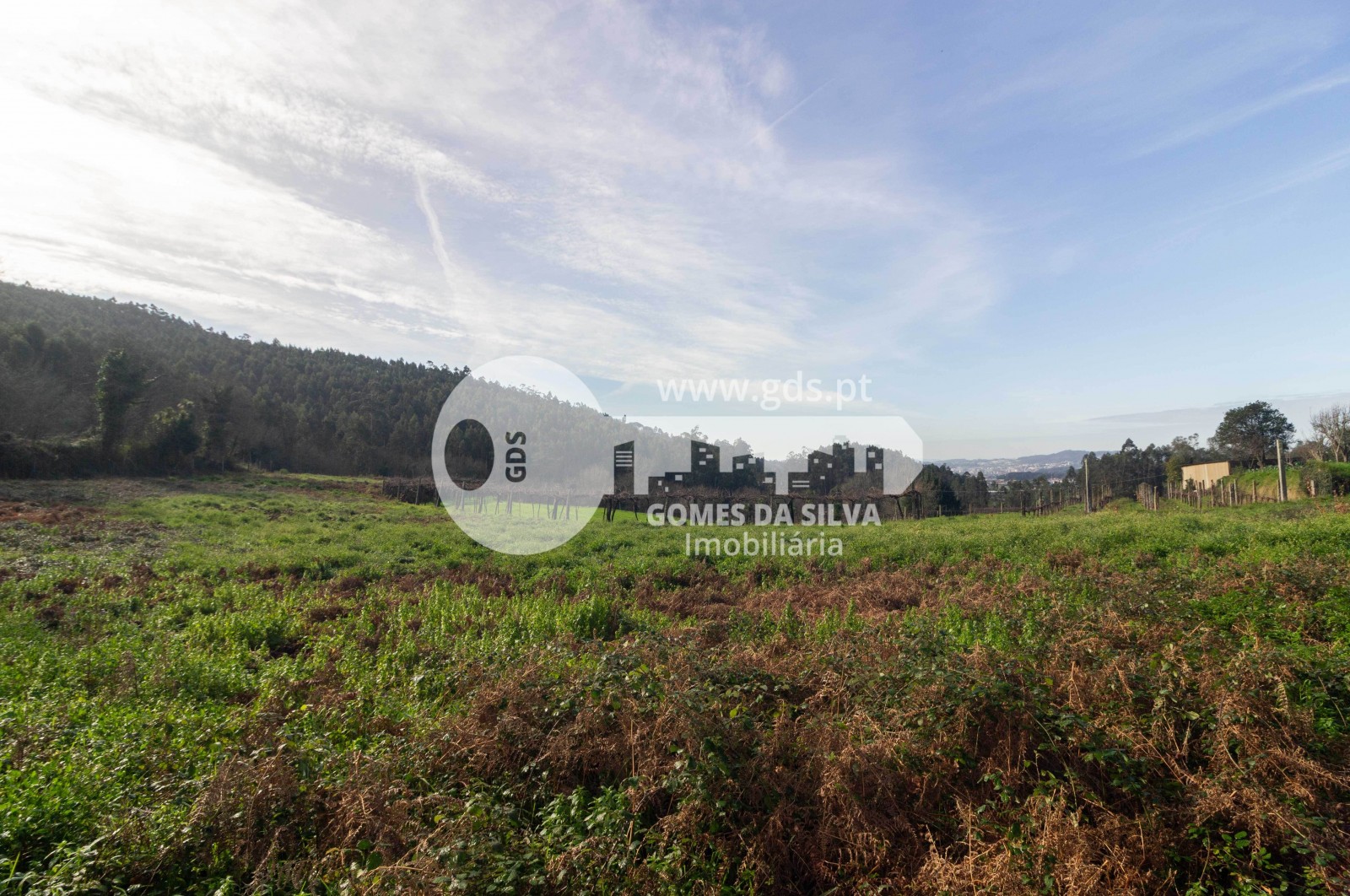Terreno Agrícola em Vale São Martinho, Vila Nova de Famalicão - Gomes da Silva - Imagem 13 Terreno em Vale São Martinho, Vila Nova de Famalicão, Braga - Imagem 13