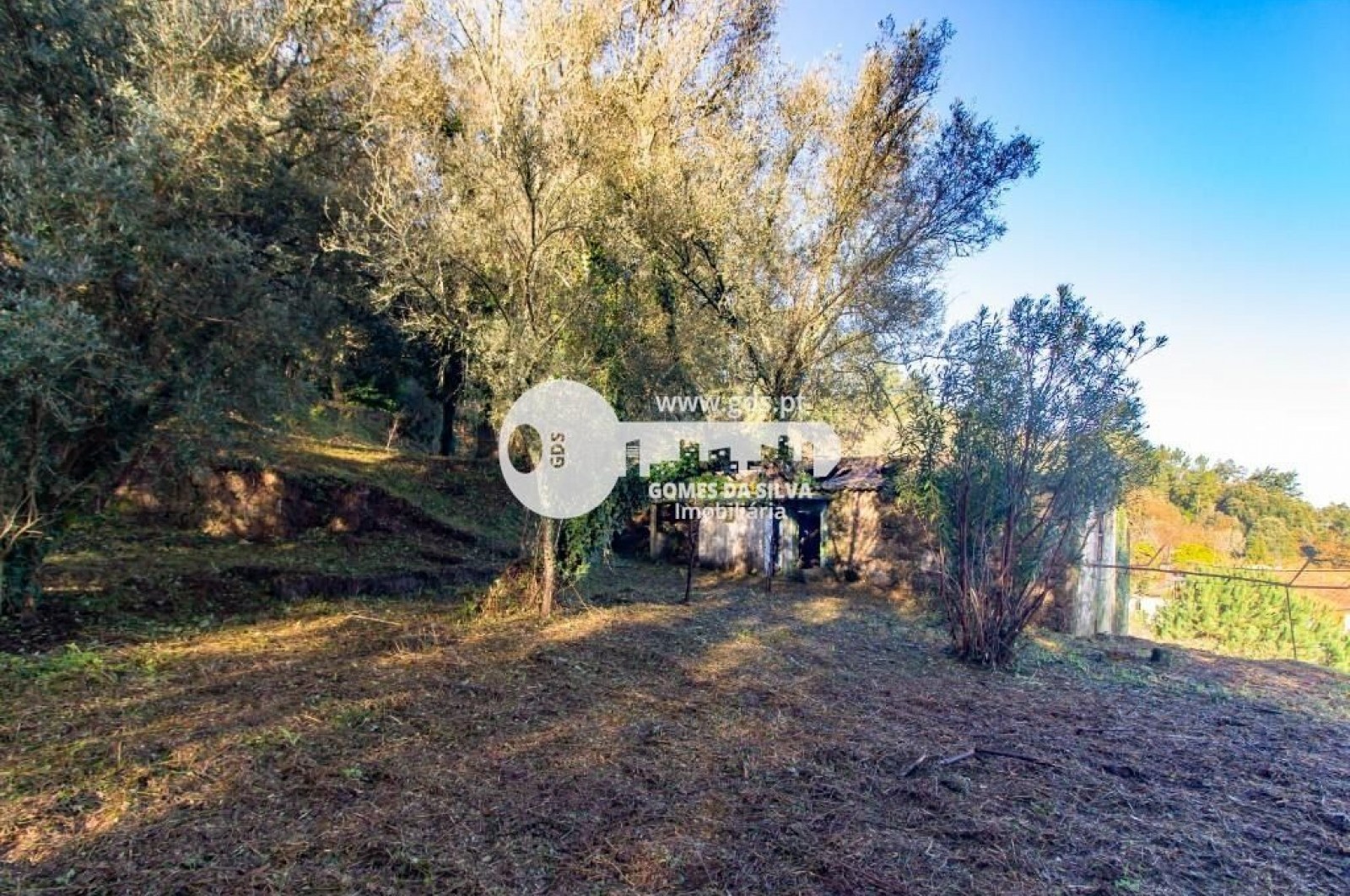 Duas moradias para recuperar com terreno de 1240m2 - Gomes da Silva - Imagem 8 Moradia em Santa Lucrécia de Algeriz e Navarra, Braga, Braga - Imagem 8