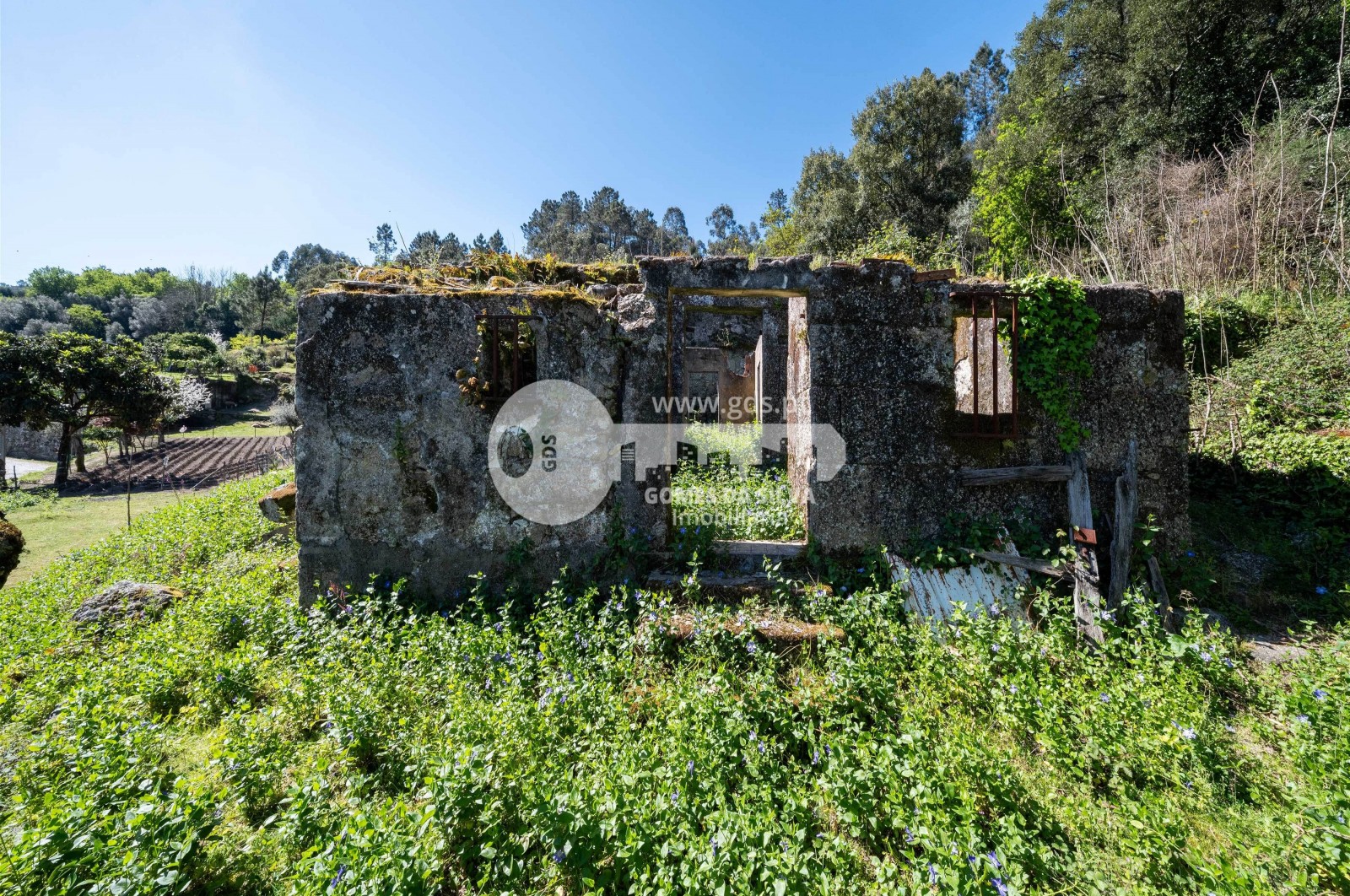 Moradia em Santa Lucrécia de Algeriz e Navarra, Braga, Braga - Imagem 5