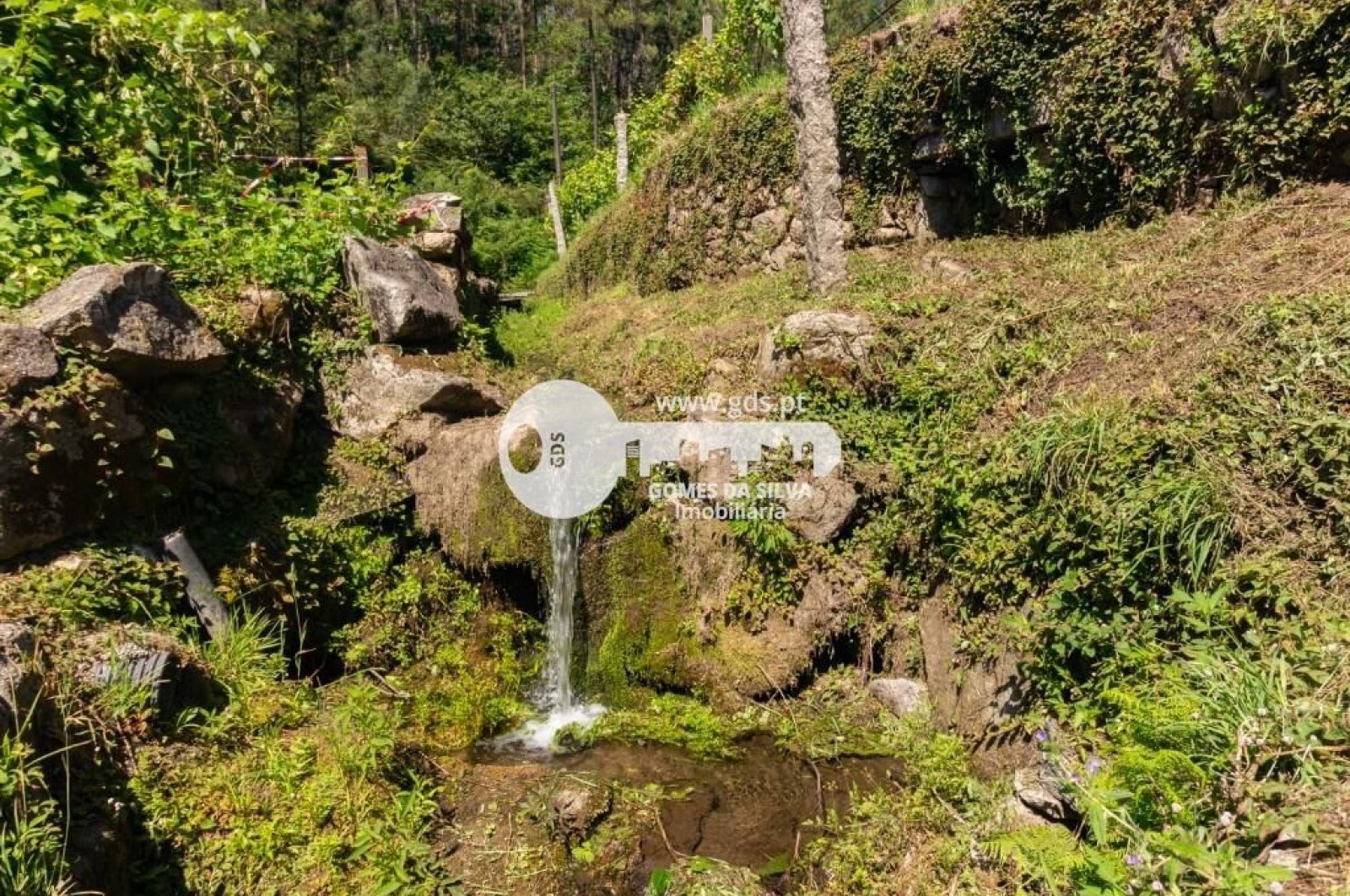 Quinta com 8000m2 de terreno em Pico de Regalados - Gomes da Silva - Imagem 16 Moradia em Pico de Regalados, Gondiães e Mós, Vila Verde, Braga - Imagem 16