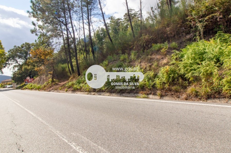 Terreno para Venda em Morreira e Trandeiras, Braga, Braga - Imagem 4