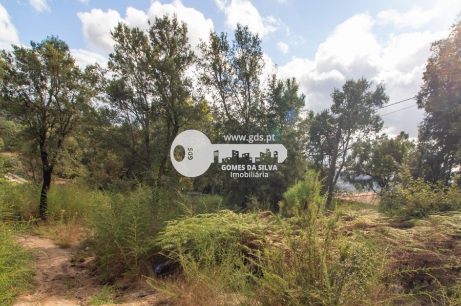 Terreno para Venda em Morreira e Trandeiras, Braga, Braga - Imagem 8