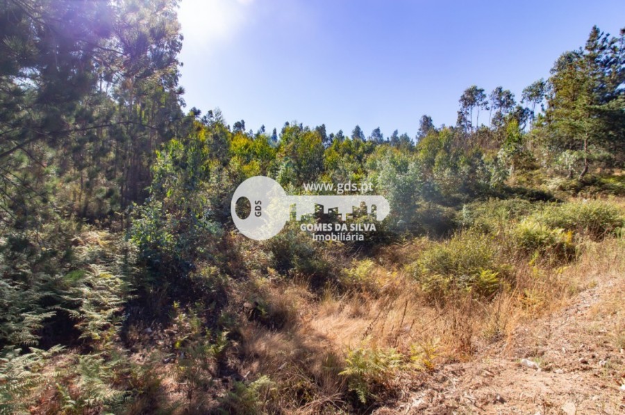 Terreno para Venda em Melres e Medas, Gondomar, Porto - Imagem 10