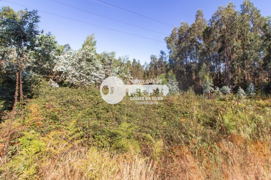 Terreno para Venda em Melres e Medas, Gondomar, Porto - Imagem 9