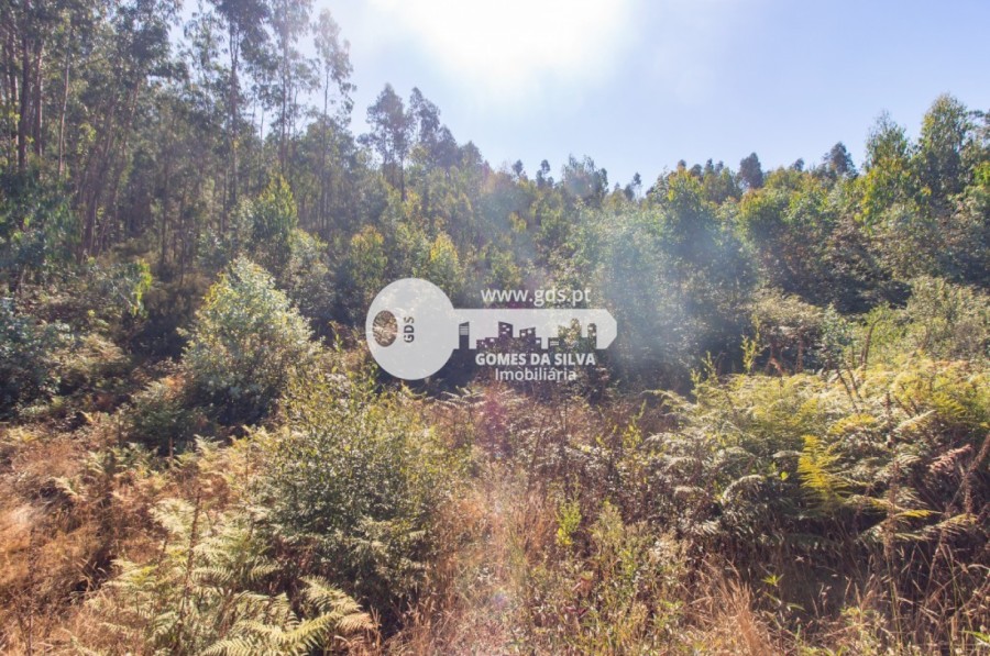 Terreno para Venda em Melres e Medas, Gondomar, Porto - Imagem 13
