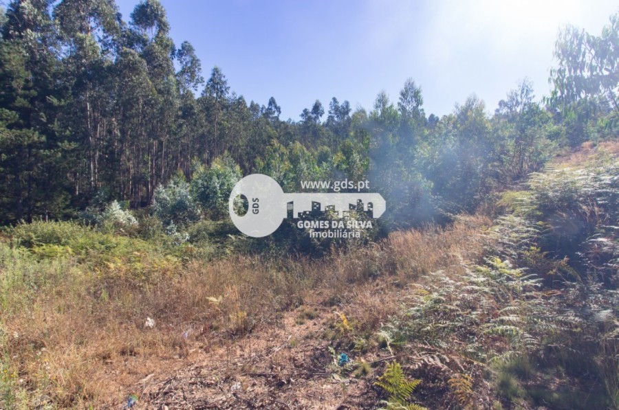 Terreno para Venda em Melres e Medas, Gondomar, Porto - Imagem 8
