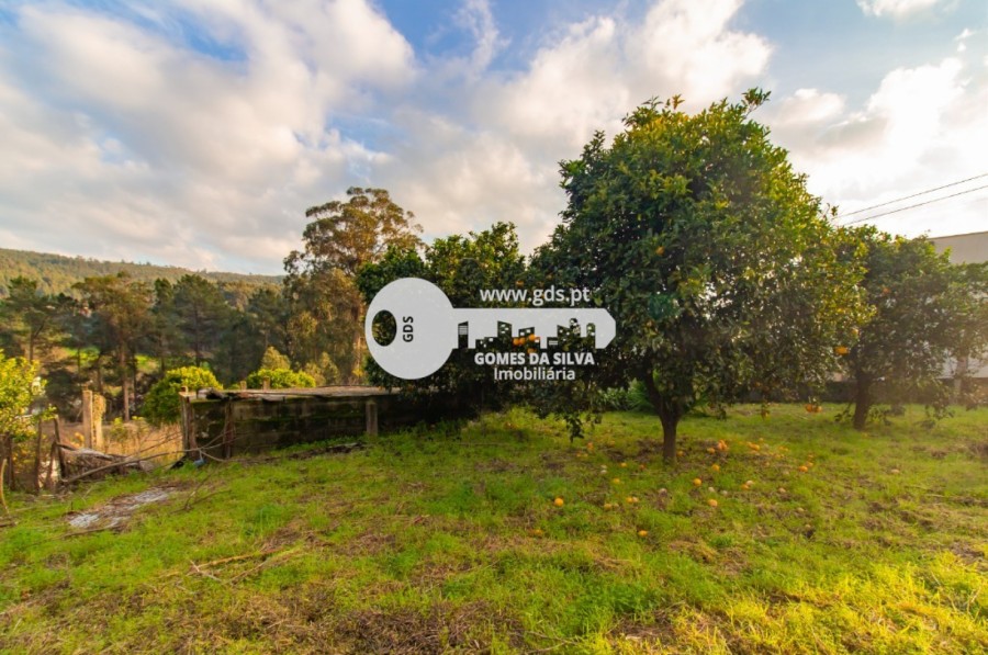 Terreno para Venda em Vale (São Cosme), Telhado e Portela, Vila Nova de Famalicão, Braga - Imagem 6