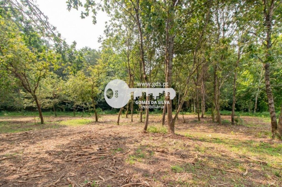 Terreno para Venda em Celeirós, Aveleda e Vimieiro, Braga, Braga - Imagem 9