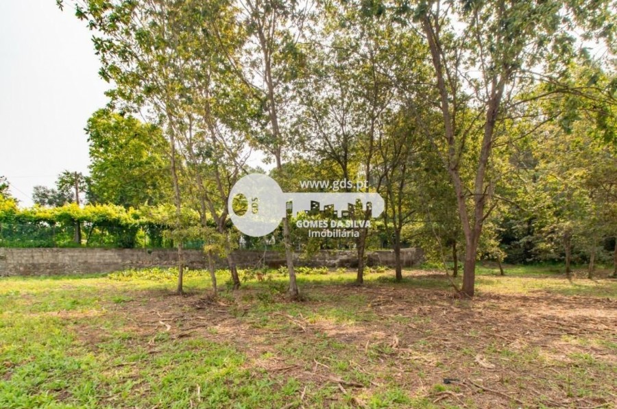 Terreno para Venda em Celeirós, Aveleda e Vimieiro, Braga, Braga - Imagem 8