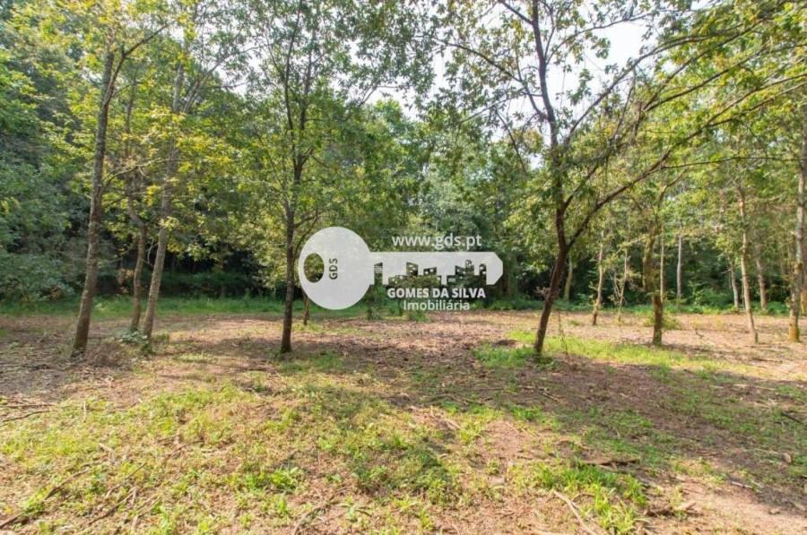 Terreno para Venda em Celeirós, Aveleda e Vimieiro, Braga, Braga - Imagem 3