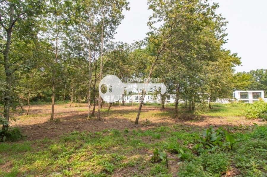 Terreno para Venda em Celeirós, Aveleda e Vimieiro, Braga, Braga - Imagem 11