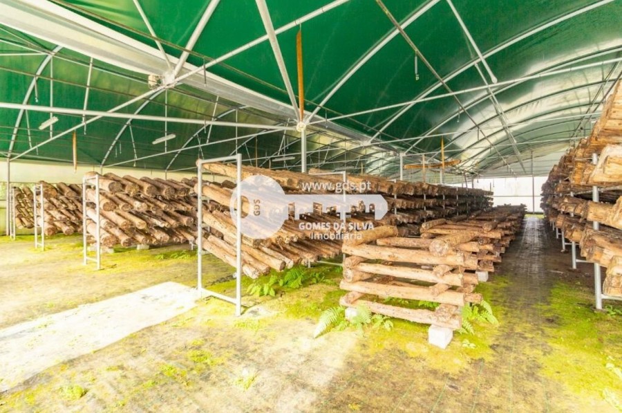 Terreno para Venda em Estorãos, Fafe, Braga - Imagem 13