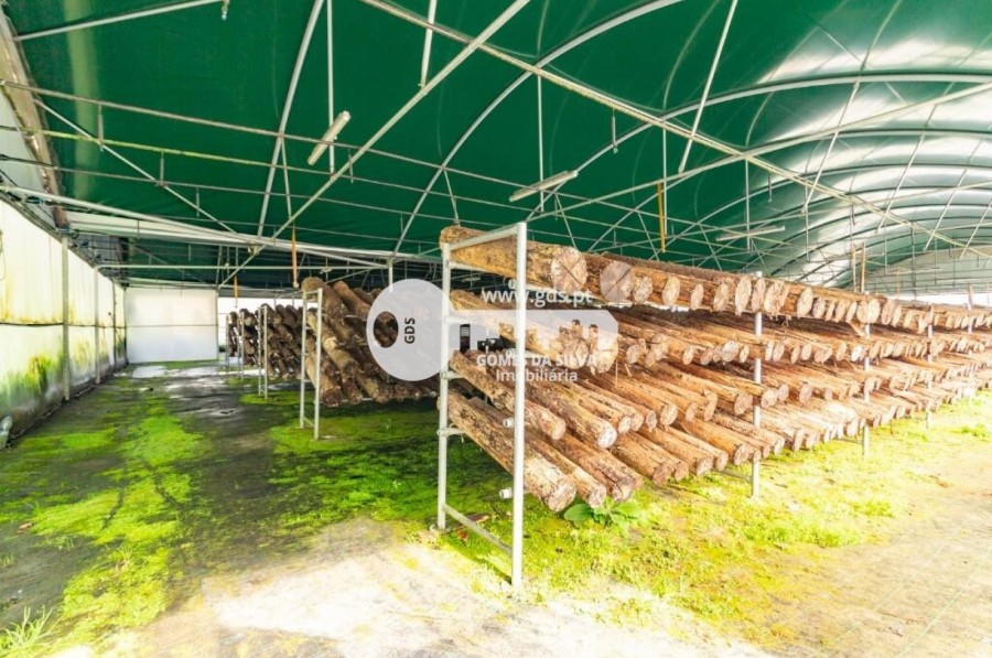 Terreno para Venda em Estorãos, Fafe, Braga - Imagem 12