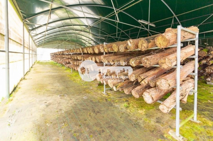Terreno para Venda em Estorãos, Fafe, Braga - Imagem 6
