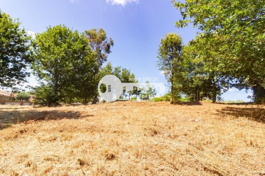 Terreno para Venda em Adaúfe, Braga, Braga - Imagem 3