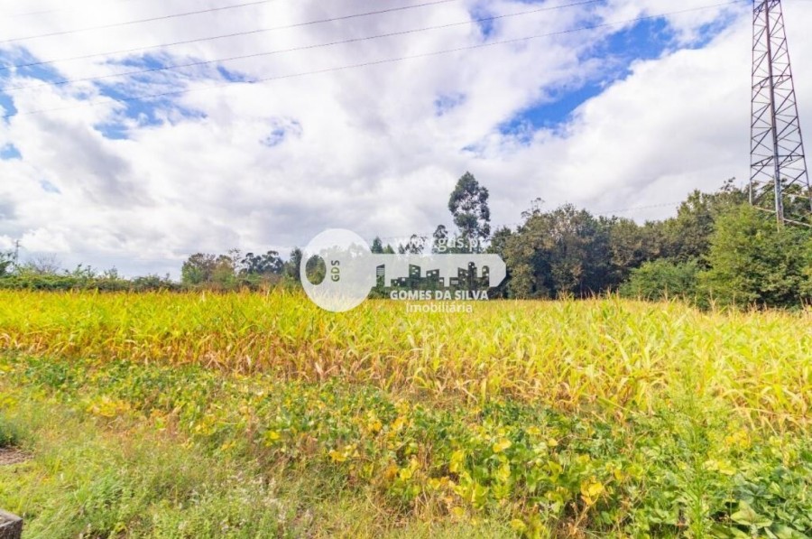 Moradia T5+ para Venda em Crespos e Pousada, Braga, Braga - Imagem 50