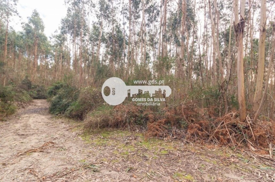 Terreno para Venda em Morreira e Trandeiras, Braga, Braga - Imagem 4