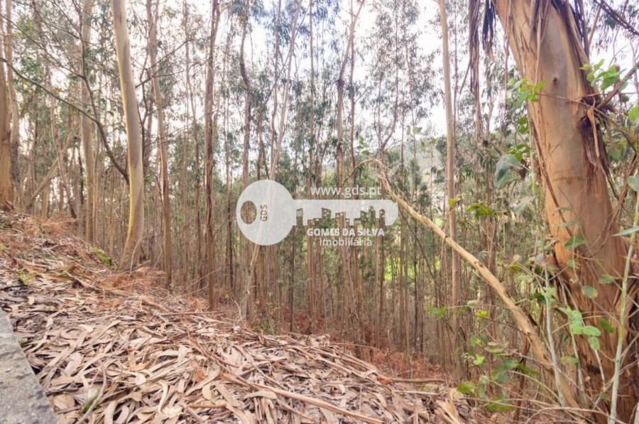 Terreno para Venda em Morreira e Trandeiras, Braga, Braga - Imagem 4