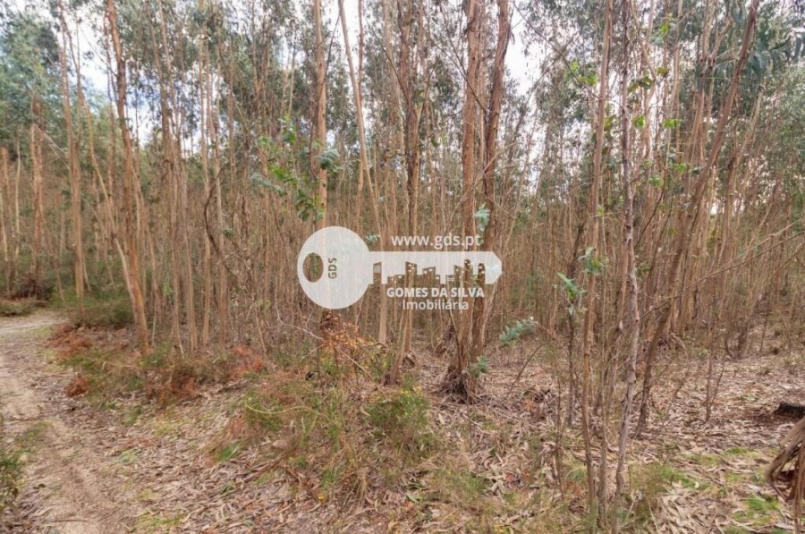Terreno para Venda em Morreira e Trandeiras, Braga, Braga - Imagem 6