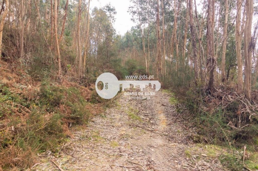Terreno para Venda em Morreira e Trandeiras, Braga, Braga - Imagem 3