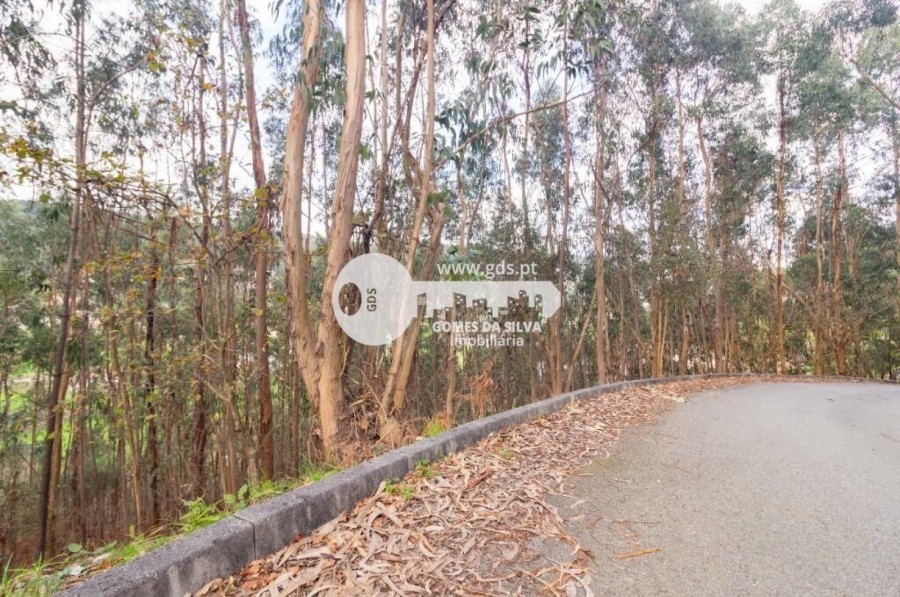 Terreno para Venda em Morreira e Trandeiras, Braga, Braga