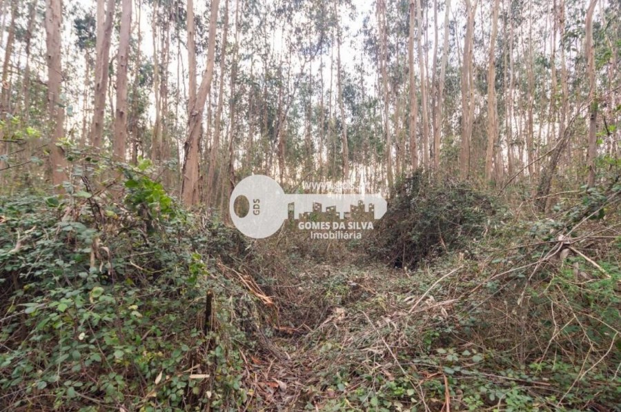 Terreno para Venda em Morreira e Trandeiras, Braga, Braga - Imagem 8
