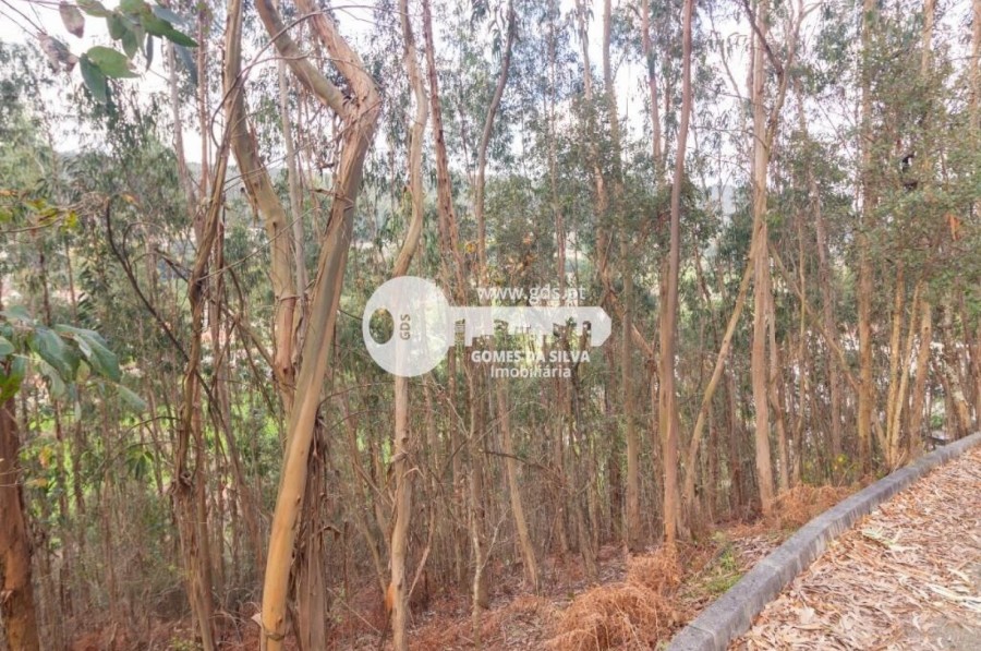 Terreno para Venda em Morreira e Trandeiras, Braga, Braga - Imagem 2
