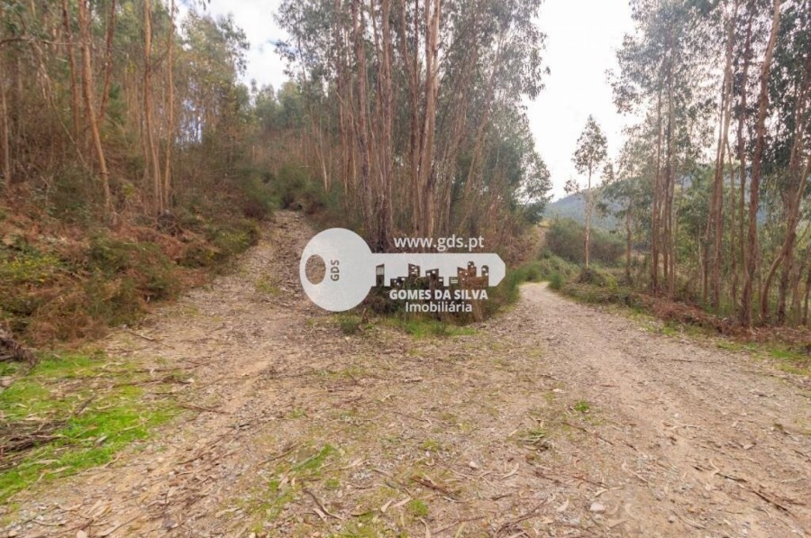 Terreno para Venda em Morreira e Trandeiras, Braga, Braga - Imagem 1