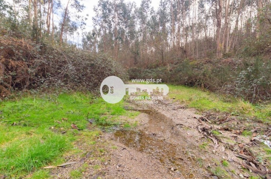 Terreno para Venda em Morreira e Trandeiras, Braga, Braga - Imagem 9